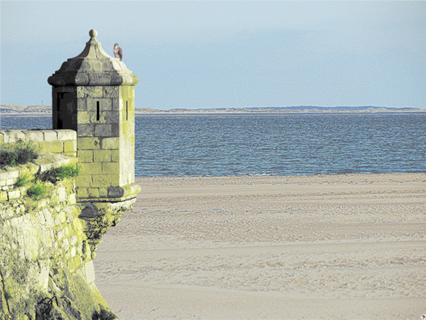 Texel, Netherlands, English countryside, landscape photography