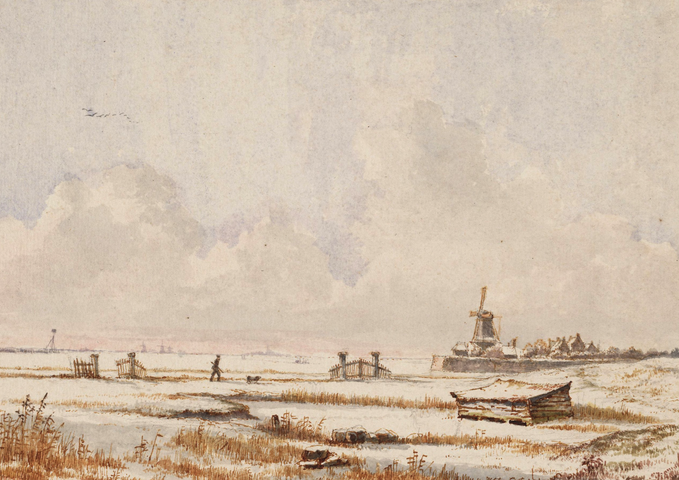 300 blauwhoofd Seen from Spaarndammerdijk