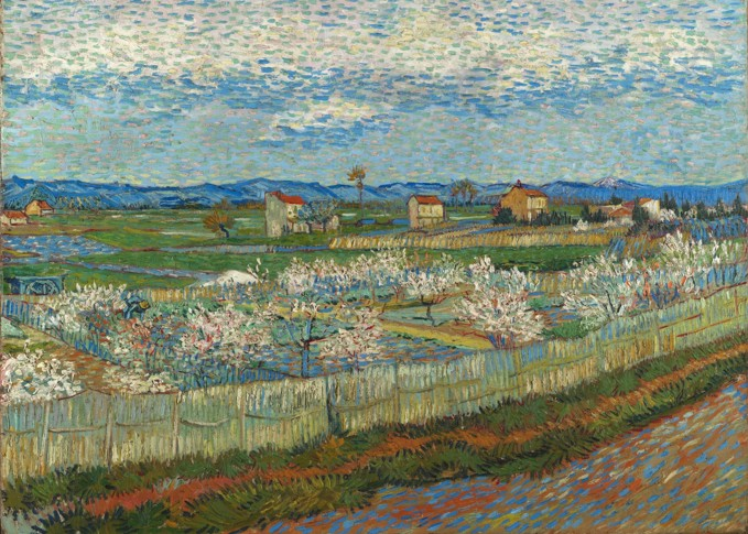5001 flowering peach trees