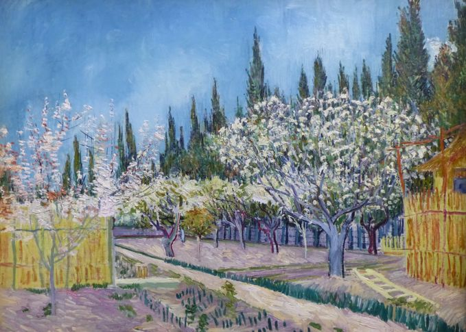 5002 Get rid of cypresses