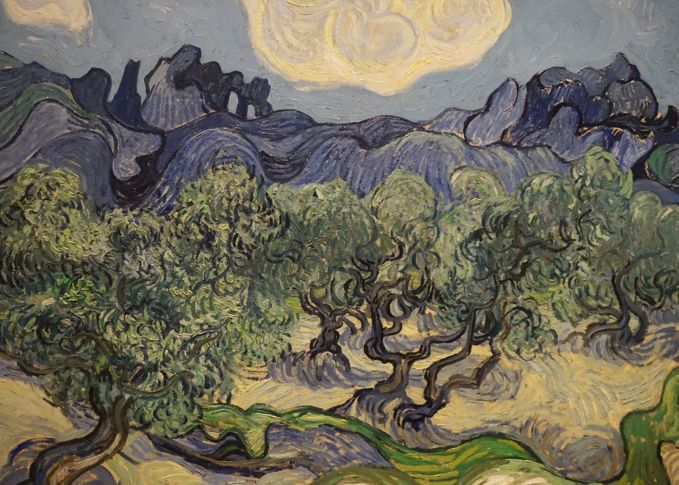 5008 The olive trees