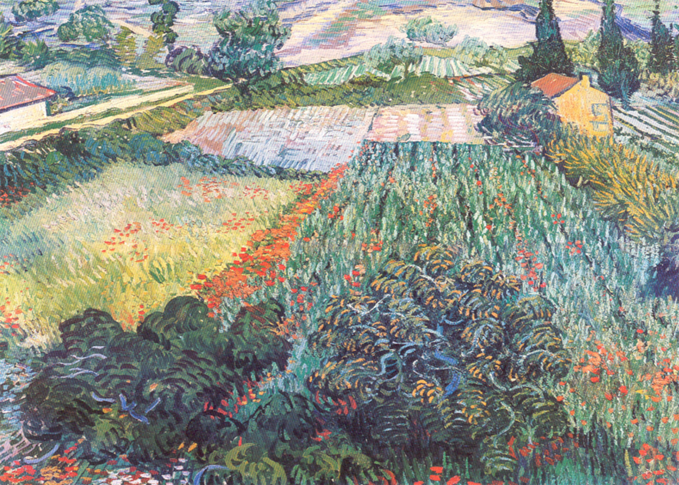 5017 Field With Poppies