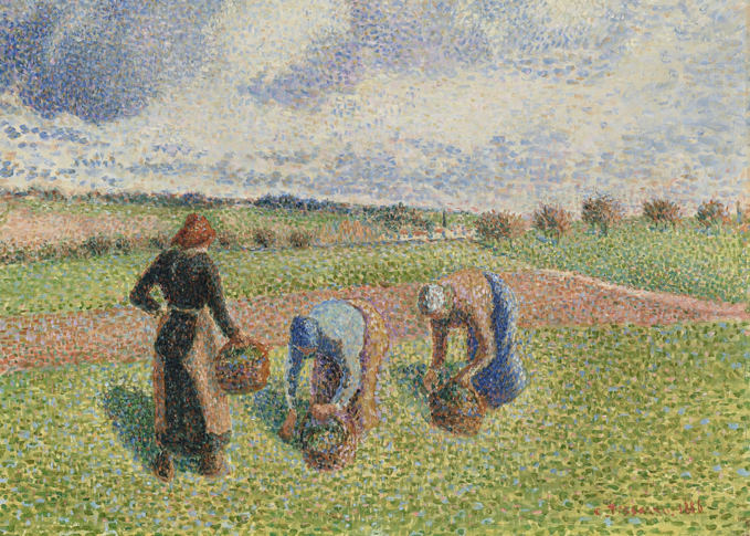 7012 Peasant women gathering herbs