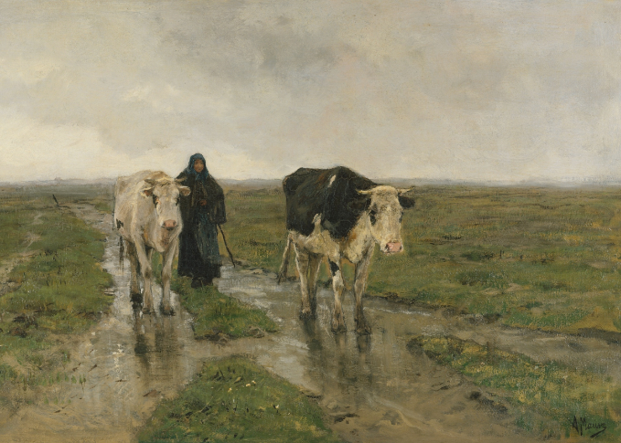 9006 Changing pasture