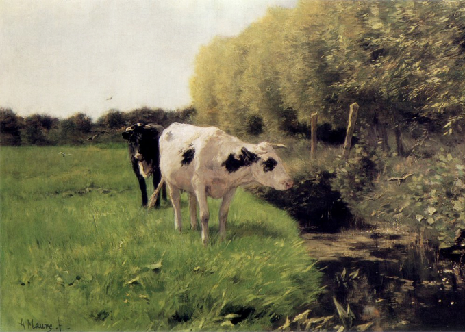 9007 Cows in a meadow