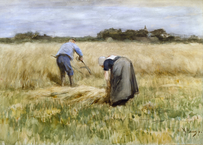 9012 The corn harvest