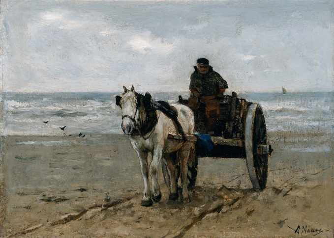 9014 Seaweed collector