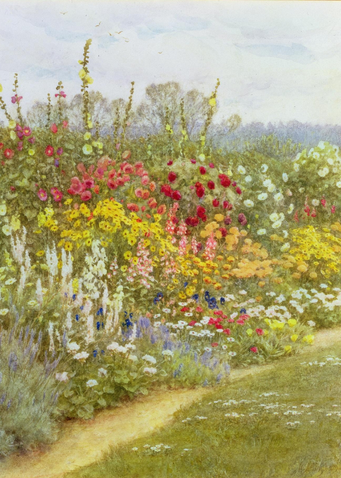 9505 A Herbaceous Border