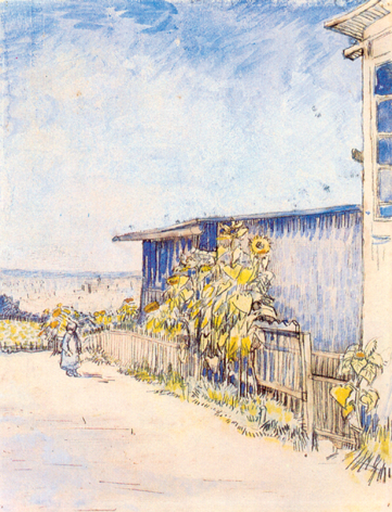 Shed with Sunflowers