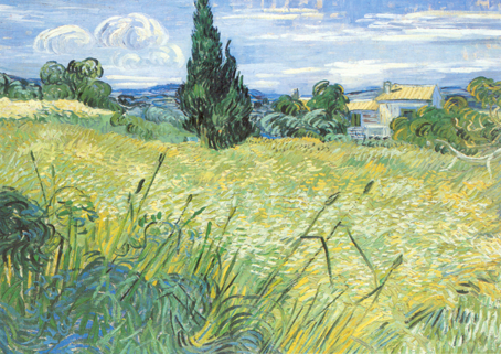 Landscape with Green Corn