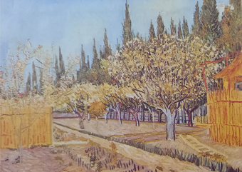 Flowering orchard, surrounded by cypress